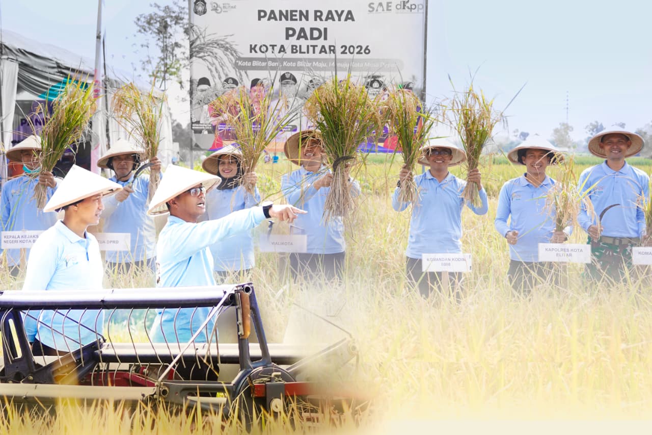 Sinergi Muspida Kota Blitar dalam Panen Raya, Wujudkan Kemandirian Pangan Daerah