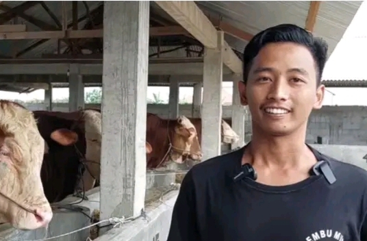Peternak Muda, Azis Bangun Usaha Yang Modern