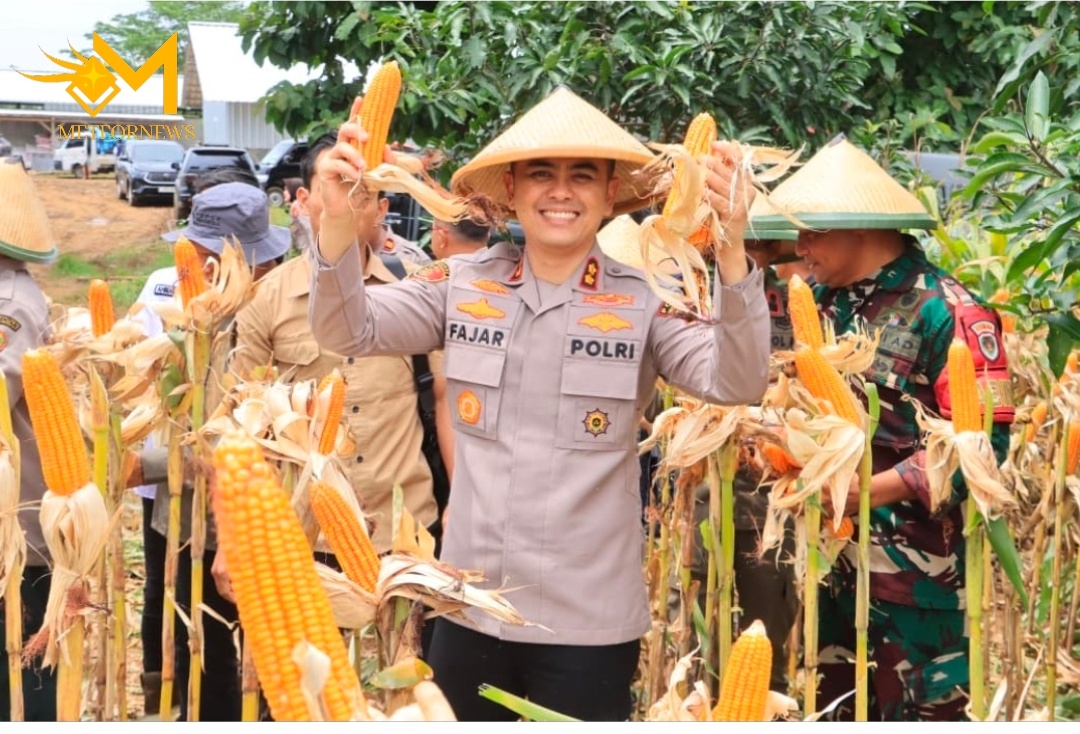 Polres Indramayu Gelar Panen Raya Jagung Serentak, Dukung Swasembada Pangan Nasional