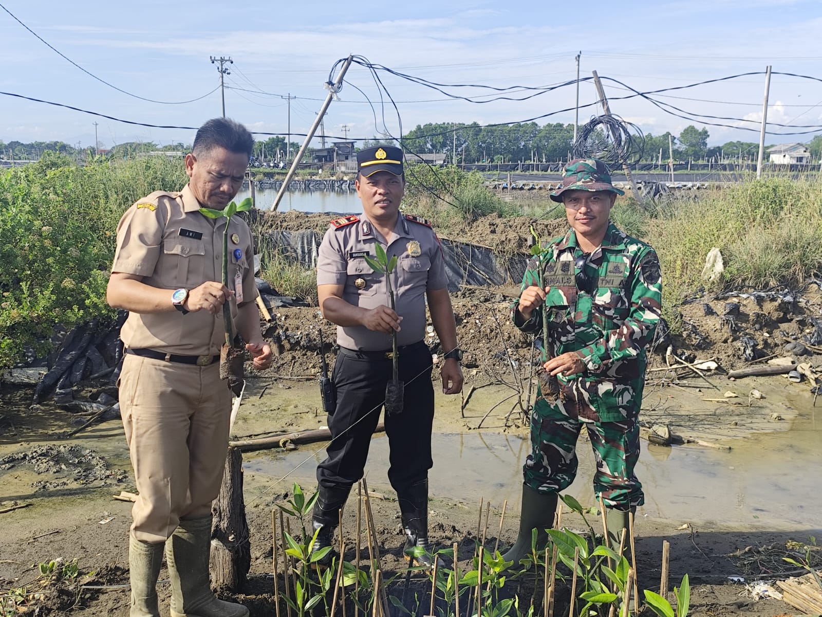 Penanaman Mangrove Serentak Jadi Wujud Sinergitas TNI-Polri dan Kepedulian Lingkungan di Tegal
