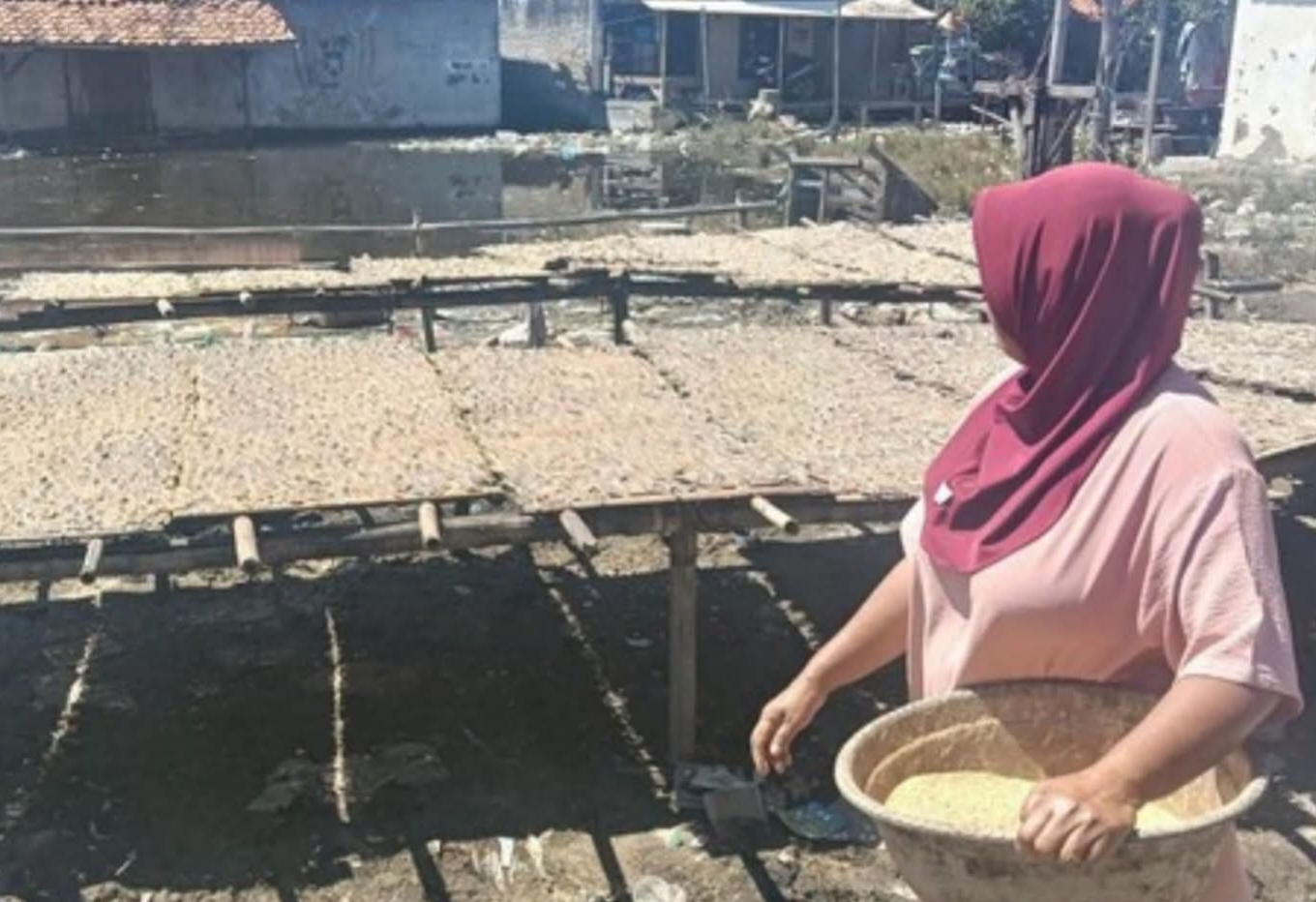 Usaha Ikan Asin Indramayu Tak Pernah Menyerah Bahan Baku Langka