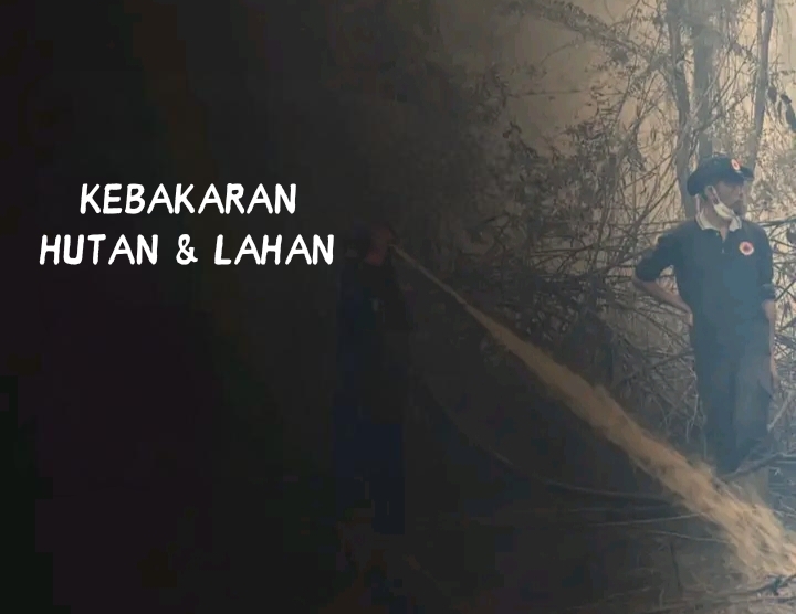 Kapolda Kalteng Irjen Pol Iwan Kurniawan Tindak Tegas Pembakaran Lahan