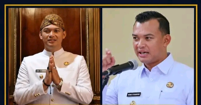 Profil Dena, Cleaning service Jadi Wakil Bupati