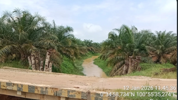 Dukung APH, Ketua Dewas Yayasan SINTA Kawal Ketat Pelanggaran DAS di Tapung Hulu Kampar