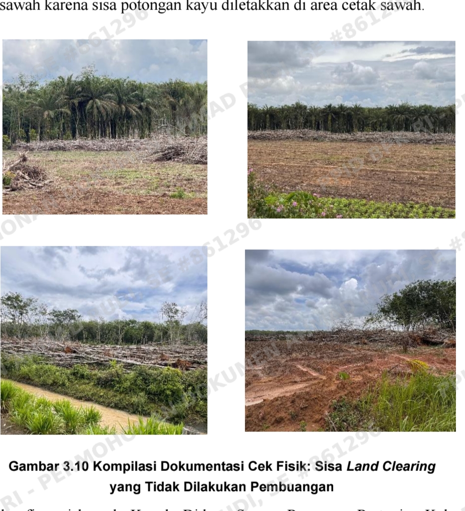 BPK Soroti Evaluasi SID Cetak Sawah di Sumsel yang Belum Memadai