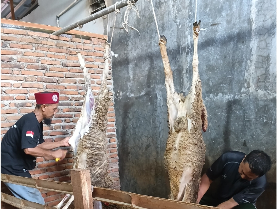 Profesor Dan Dosen Putera Puteri Brebes Berqurban 9 Sapi Dan 15 Kambing tersebar di 17 Kecamatan