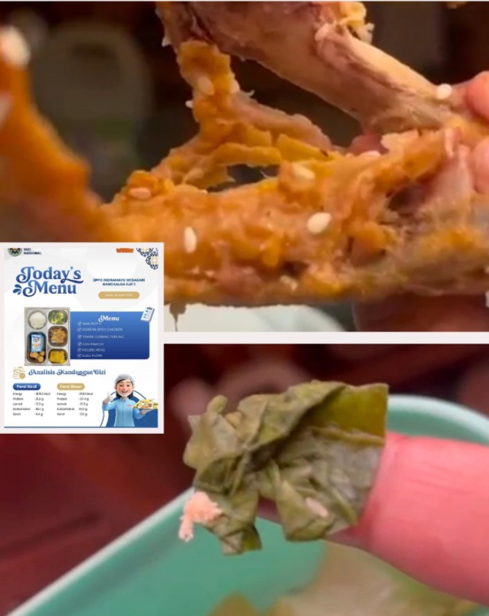 Viral ! Menu MBG di Bangkaloa Ilir Diduga Berisi Telur Lalat, Izin Sanitasinya Dipertanyakan?