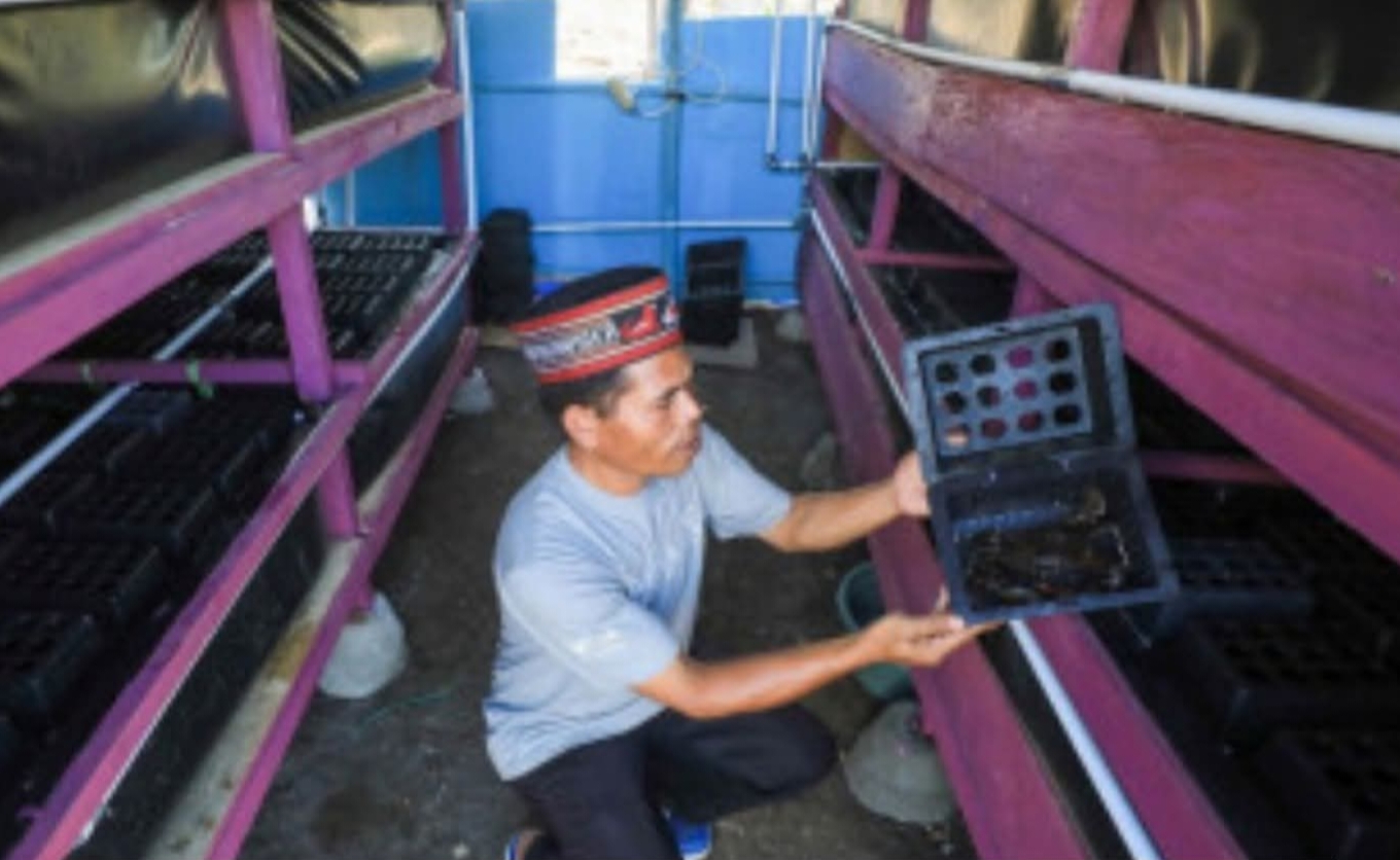 Program Kampung Nelayan Merah Putih & Kawasan Industri Perikanan Terintegras